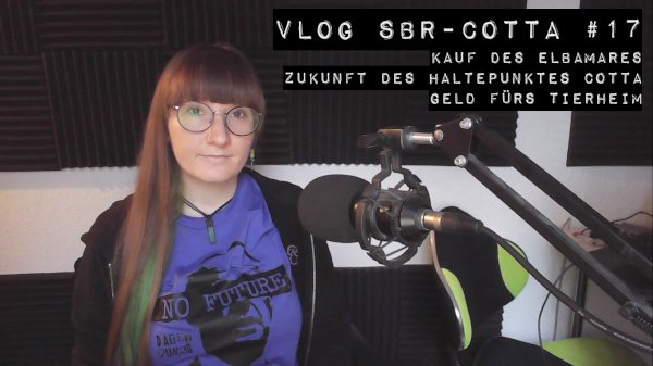 Thumbnail_Vlog17_600